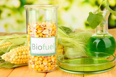 Nechells biofuel availability
